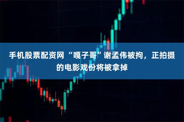 手机股票配资网 “嘎子哥”谢孟伟被拘，正拍摄的电影戏份将被拿掉