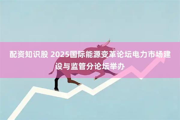 配资知识股 2025国际能源变革论坛电力市场建设与监管分论坛举办