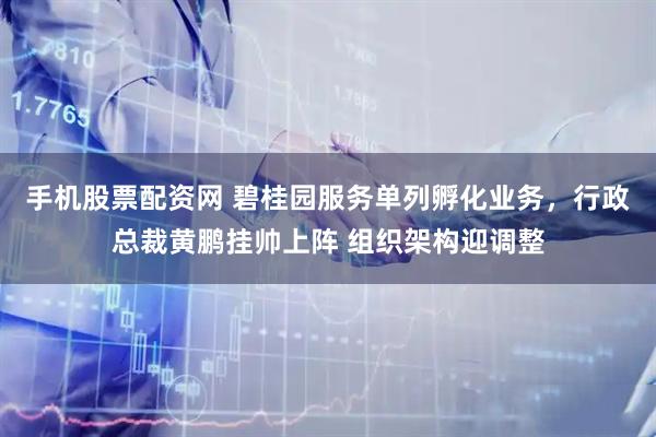 手机股票配资网 碧桂园服务单列孵化业务，行政总裁黄鹏挂帅上阵 组织架构迎调整
